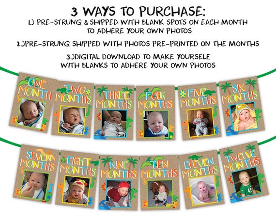 Dinosaur 1st Birthday Banner - Dinosaur Banner - 1st Birthday Photo Banner - Boy 1st Birthday - Dino Banner - First Birthday Decor Il_570xn