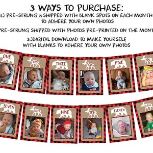 Lumberjack 1st Birthday Banner 1st Birthday Photo Banner Lumberjack Banner Photo Birthday Banner 1st Birthday Milestone Flannel image 3