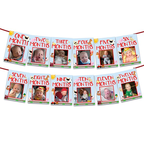 Barnyard 1st Birthday Banner 12 Month Birthday Photo Banner