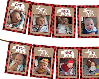 Lumberjack 1st Birthday Banner - 1st Birthday Photo Banner -  Lumberjack Banner - Photo Birthday Banner - 1st Birthday Milestone Flannel