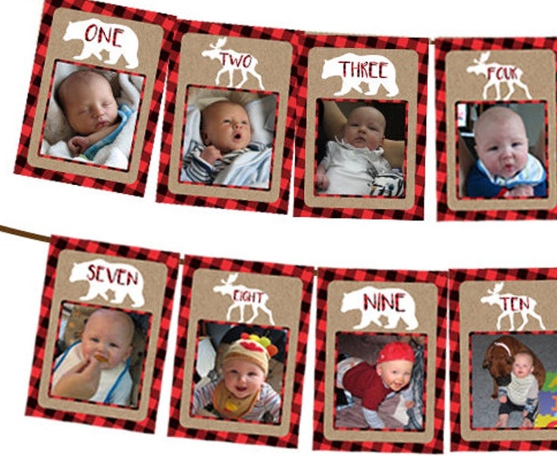 Lumberjack 1st Birthday Banner 1st Birthday Photo Banner Lumberjack Banner Photo Birthday Banner 1st Birthday Milestone Flannel image 1