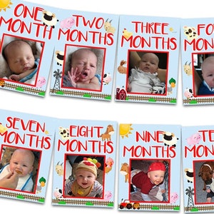 Barnyard 1st Birthday Banner - 12 month Birthday Photo Banner -  Farm Banner - Farm Animals Birthday Banner - First Birthday Milestone