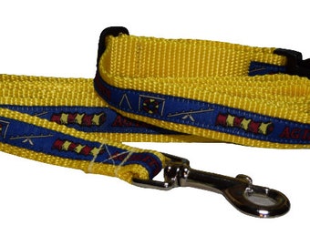 Dog Collar, Agility Collar on Yellow Webbing with Matching Leash (Medium)
