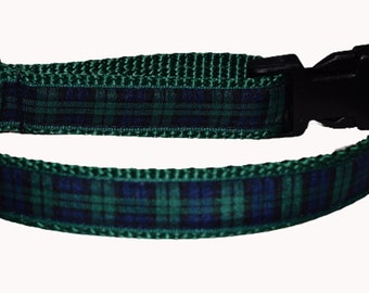 Puede incluir: Un collar de perro verde con un patrón de cuadros negros y verdes y una hebilla de plástico negra.