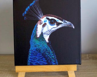 TITTLE: A Dash of Green (peahen) 20x20cm Canvas Print