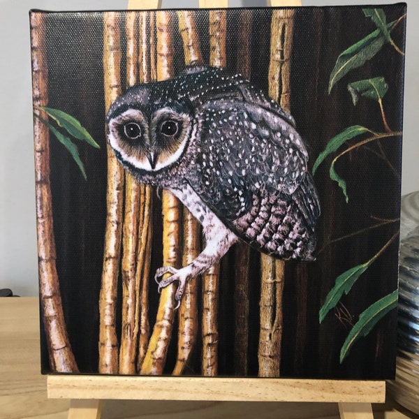 Owl Canvas Print 20 x 20cm Belonging to the Night (easel not included)