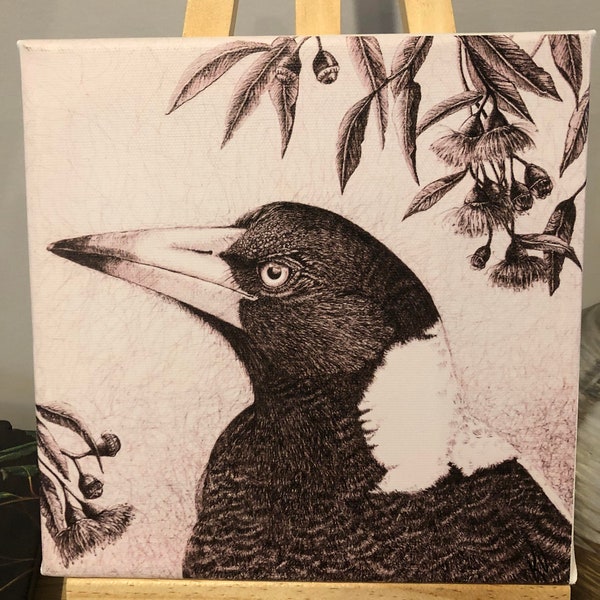 Mini Magpie Canvas Art Print 20 x 20cm Magpie Under the Flowering Gums (easel not included)