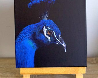 TITLE: A Flash of Blue (peacock) 20x20cm Canvas Print