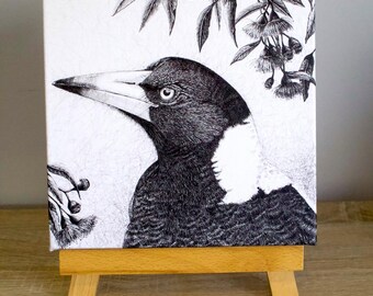 TITTLE: Magpie Under the Flowering Gum (magpie) 20x20cm Canvas Print