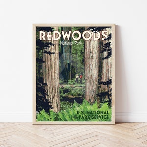 Redwoods National Park Vintage Style Travel Poster, Redwoods National Park California Print