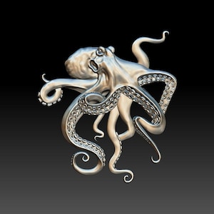 May include: A silver-colored octopus sculpture with eight tentacles. The octopus is posed with its tentacles curled and extended, creating a dynamic and intricate design.