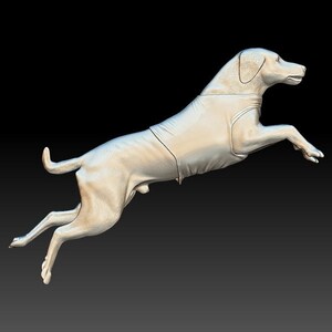May include: A white 3D printed model of a dog jumping in mid-air. The dog is facing to the right and has its mouth slightly open.