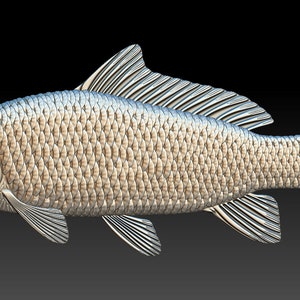 Fish set - 3D STL model for CNC - 5 stl files with hi details