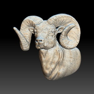 May include: A detailed 3D sculpture of a bighorn sheep's head with large, curled horns. The sculpture is made of a light grey material and has a realistic texture.