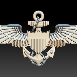 米軍パイロット徽章 Naval aviator badge - Etsy 日本