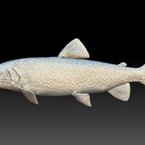 3D STL File for CNC - Fish salmon