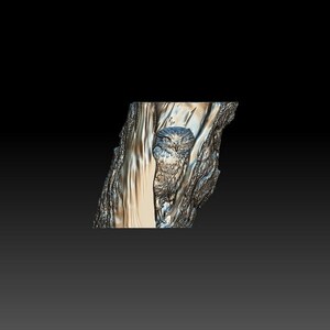 May include: A close-up of a small owl peering out from a tree trunk. The owl has large, round eyes and a brown and white patterned body. The tree trunk is textured and has a rough surface.