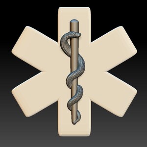 May include: A white six-pointed star with a silver medical symbol in the center. The symbol is a snake wrapped around a staff.