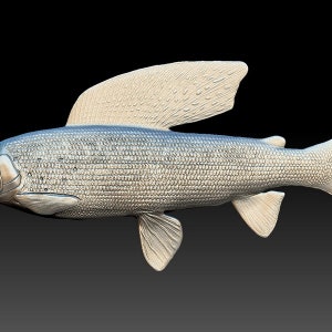 3D STL File for CNC - Fish parus