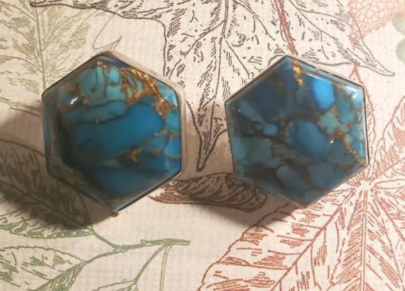 Jay king 2024 turquoise earrings