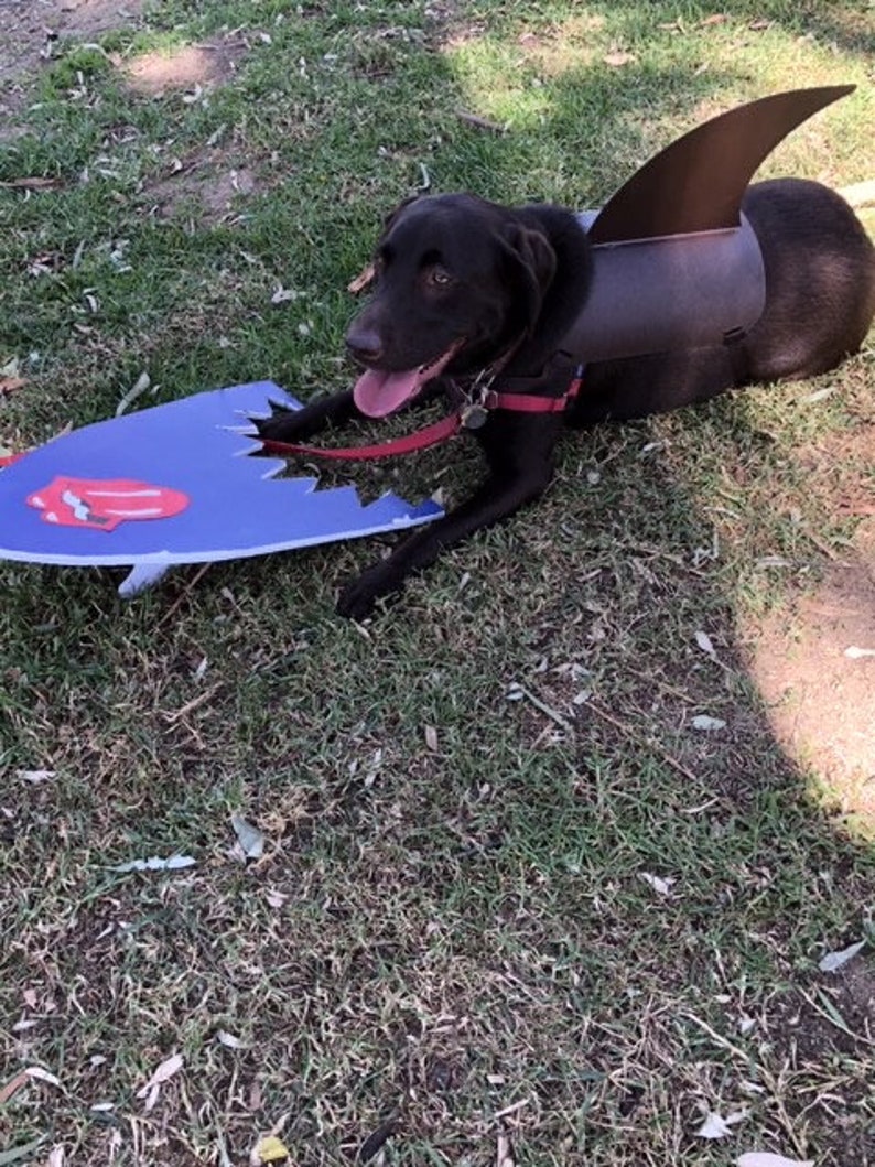 LARGE Shark Fin for Your Dog. Shark Fin Costume for Your Dog. Etsy