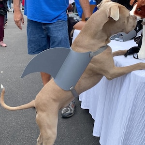LARGE Shark fin for your dog.  Shark fin costume for your dog.  They're Lab tested!