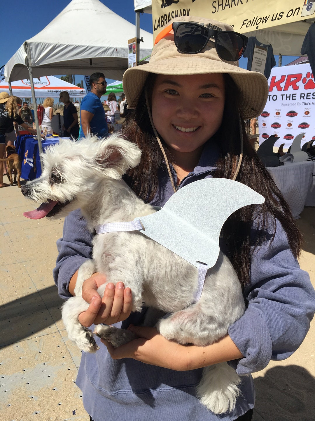 Small Shark Fin for Your Dog. Shark Fin Dog Costume. Etsy