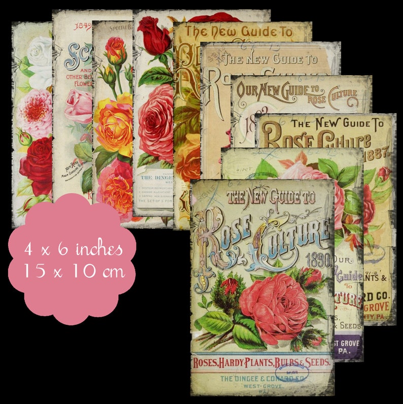 10 Vintage Rose Seed Pkt Tags
