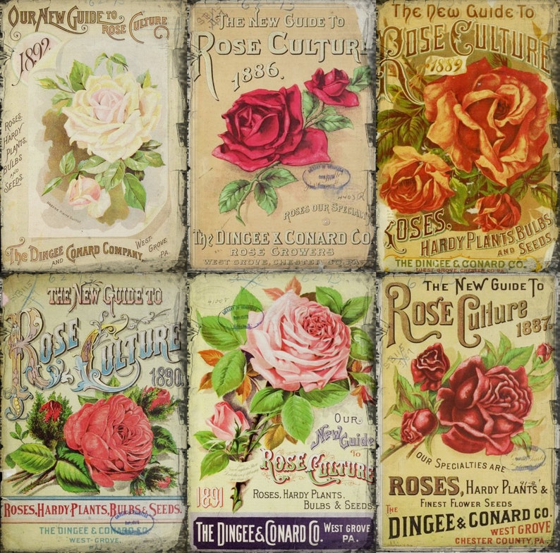 10 Vintage Rose Seed Pkt Tags