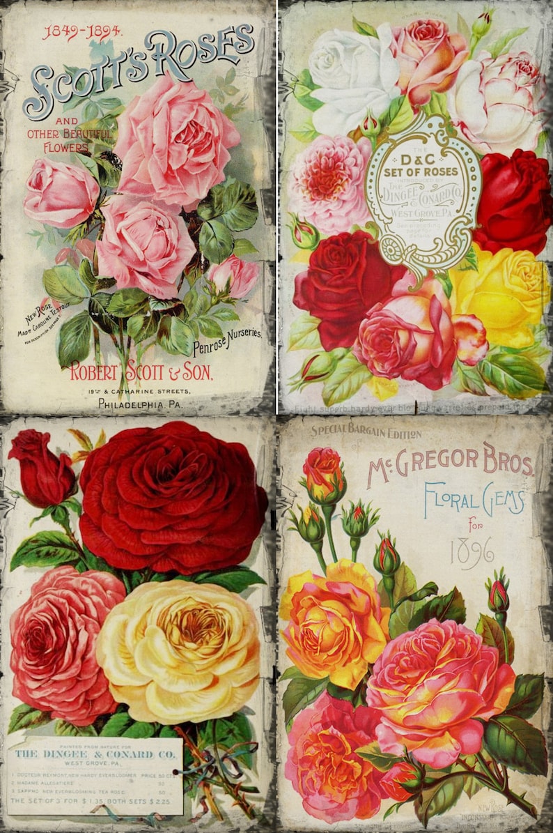10 Vintage Rose Seed Pkt Tags
