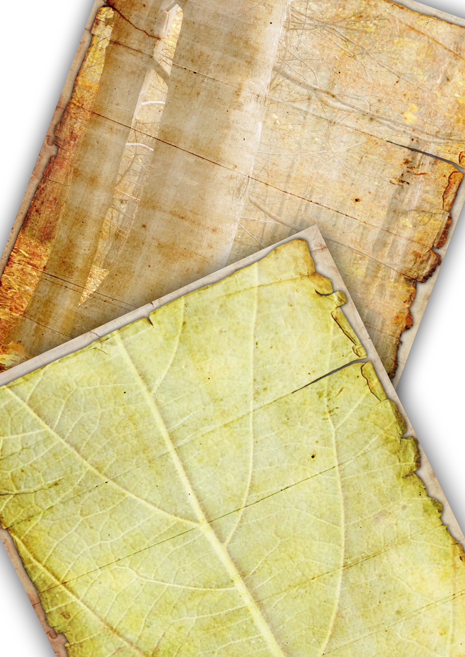 10 Printable Shabby Background Papers - Etsy