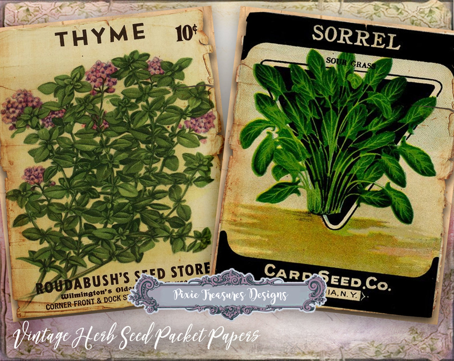 Herbal garden definition picture