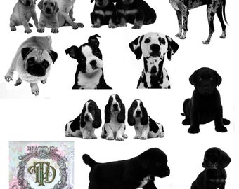 10 Dog & Puppy Digital Stamps