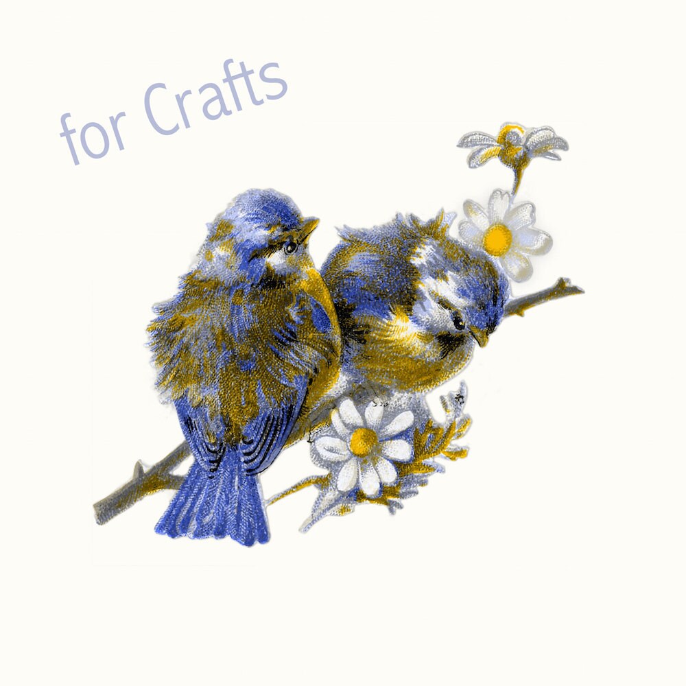 spring clip art - instant download - bird png - for crafts - spring - sapphire blue - commercial uses allowed - vintage - realistic birds