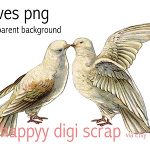 dove couple clip art - descarga instantánea - pareja amorosa - png - scrapbooking - uso comercial - aves vintage - románticas - clipart de boda