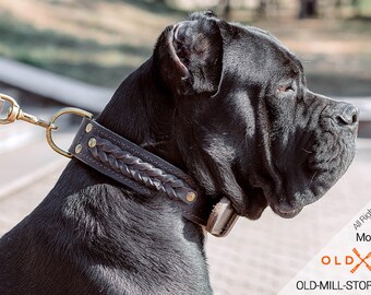 Cane Corso Collar Etsy