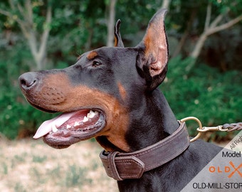 99+ Doberman Chain Dog Collars