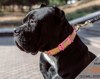 Cane Corso Collar Etsy