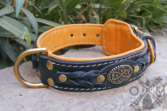 padded leather dog collar