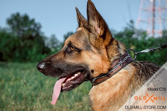 german shepherd collars and leads