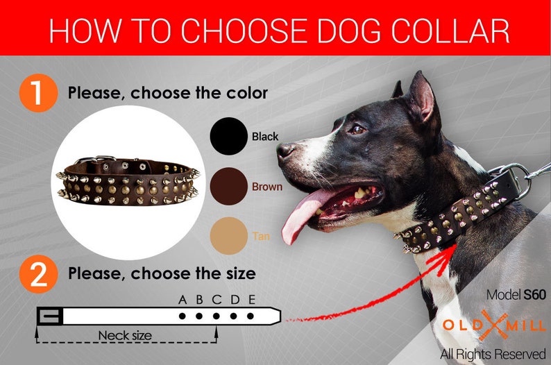 Extra breites Lederhalsband Hund mit 2 Reihen Stacheln 1 Etsy