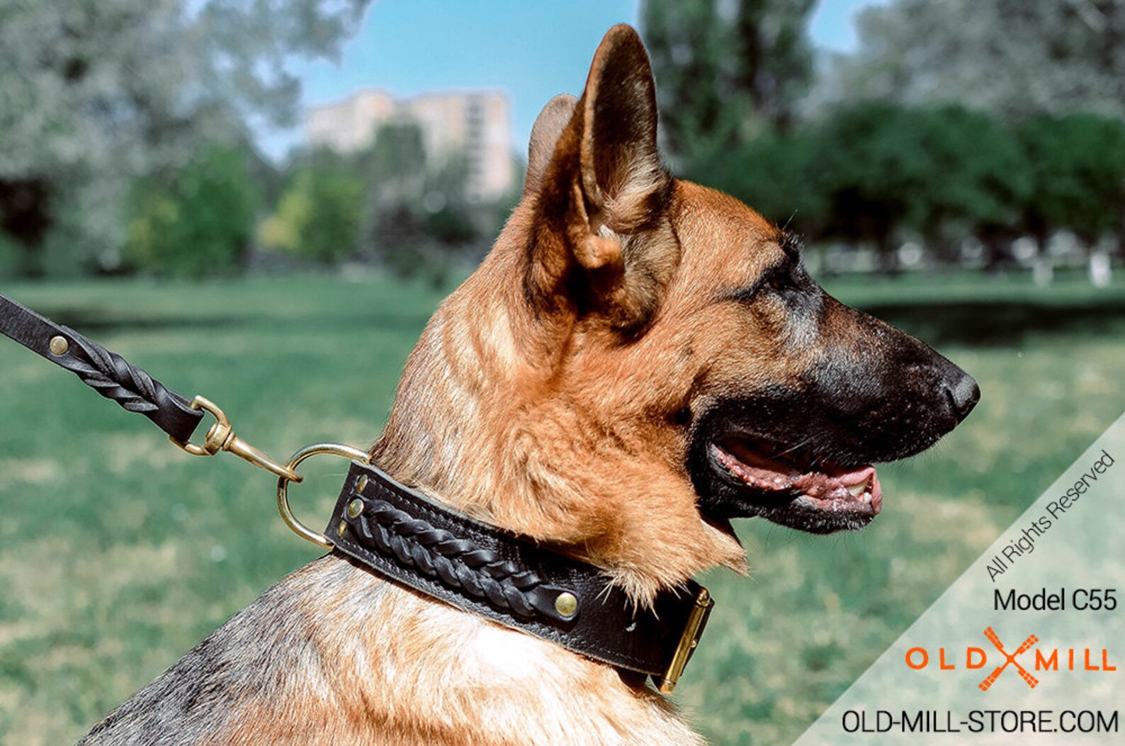 E Collar For German Shepherd at Carmen Rivera blog