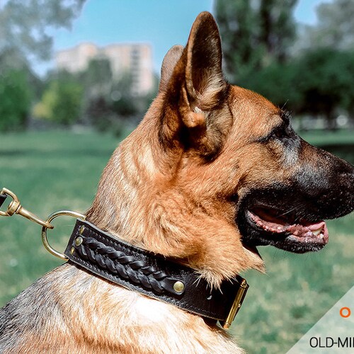 german shepherd leather collar