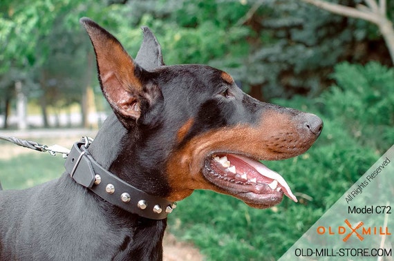 doberman leather collar