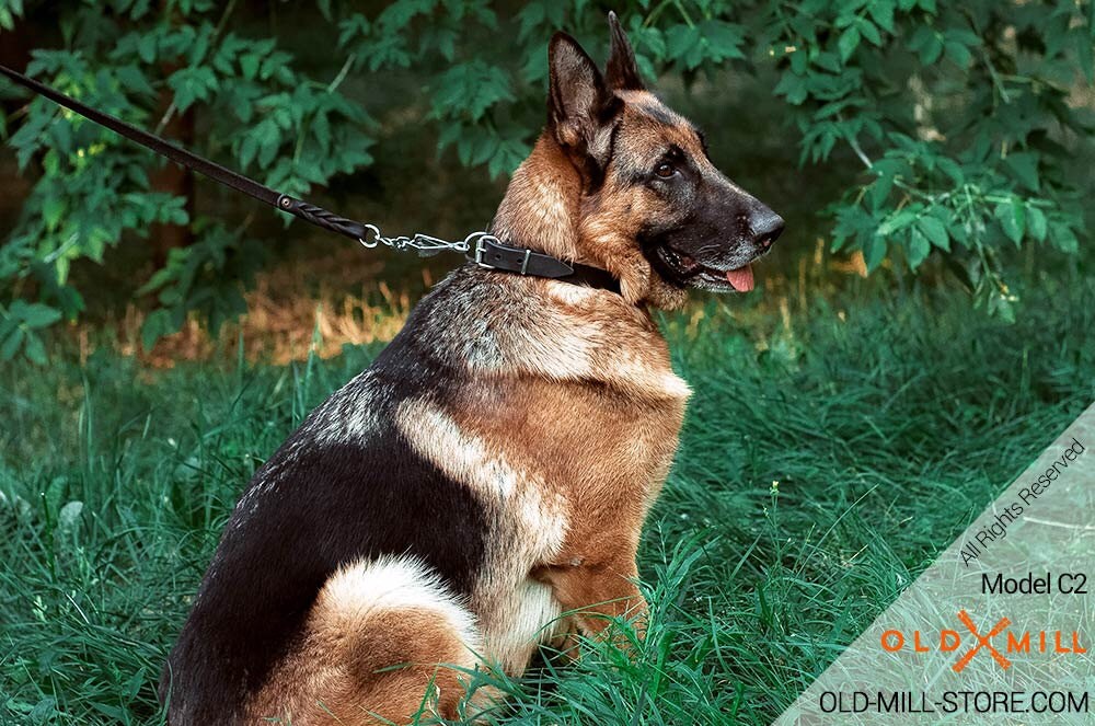 badass german shepherd collars