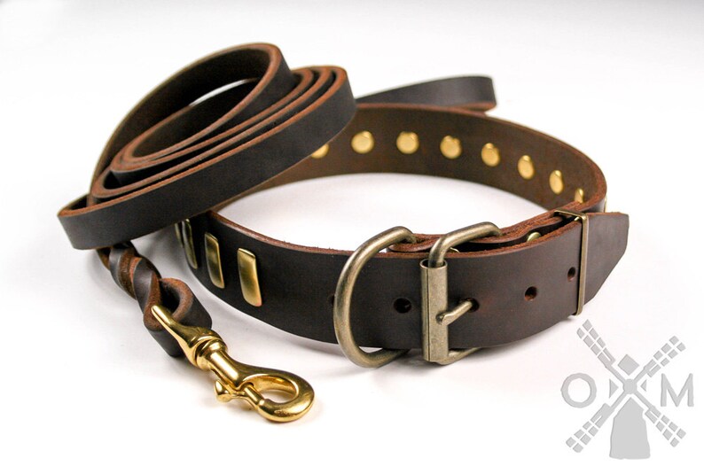 Brown Leather Dog Collar With Brass Plates and Braided Leash Etsy