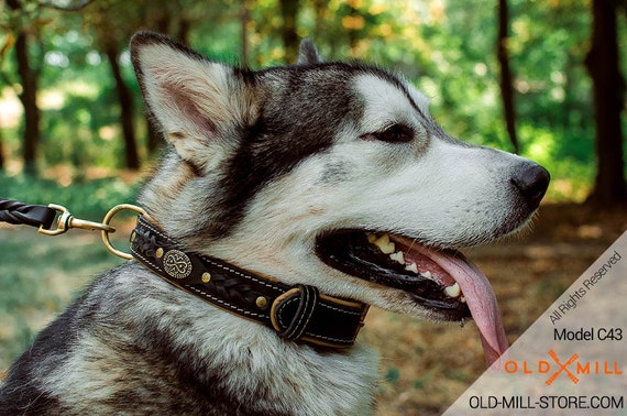 husky dog collars