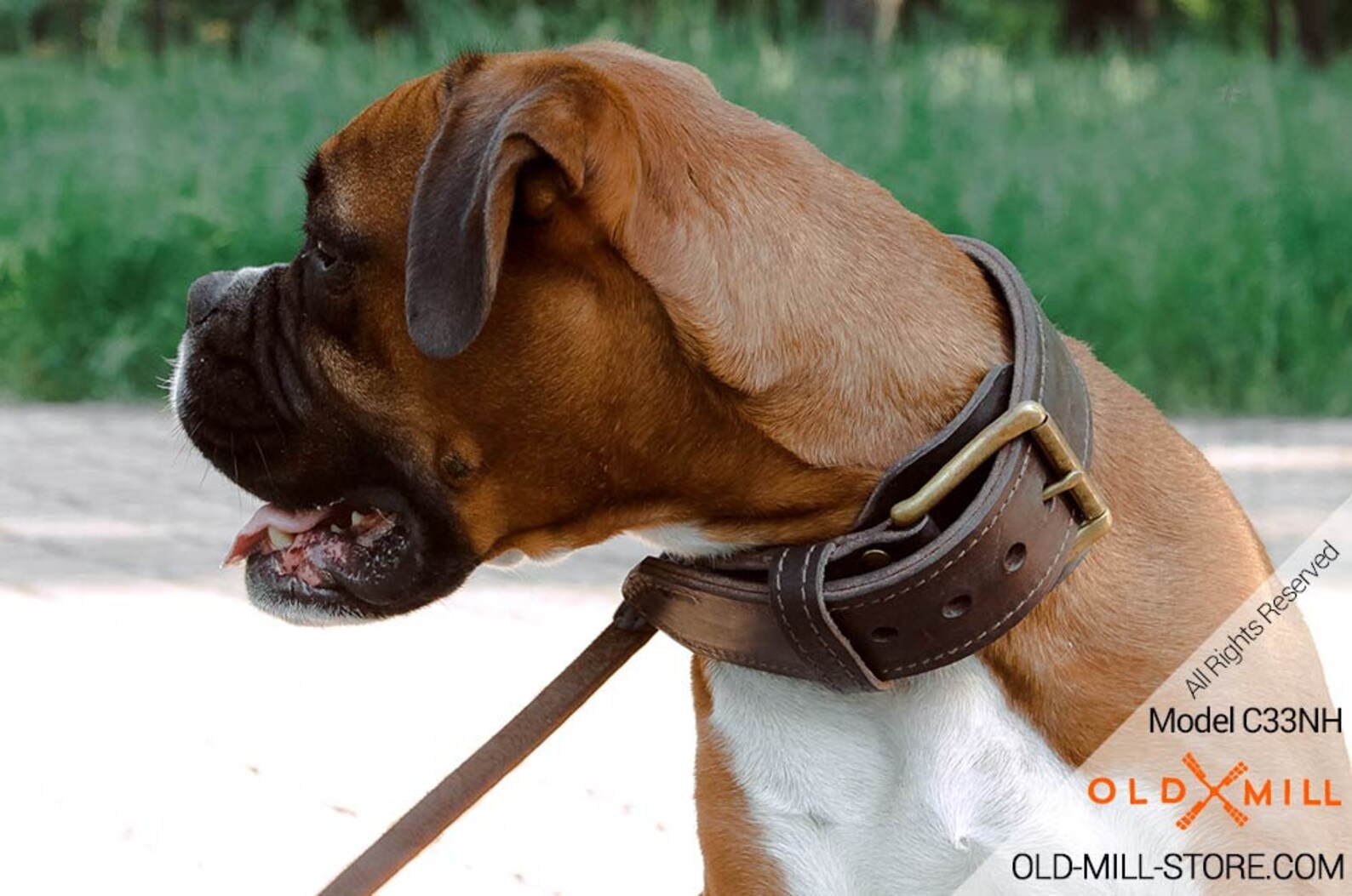 2 Ply Leather Dog Collar for Boxer Training. Wide 1 3/4 Inch Etsy