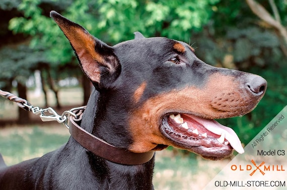 doberman leather collar