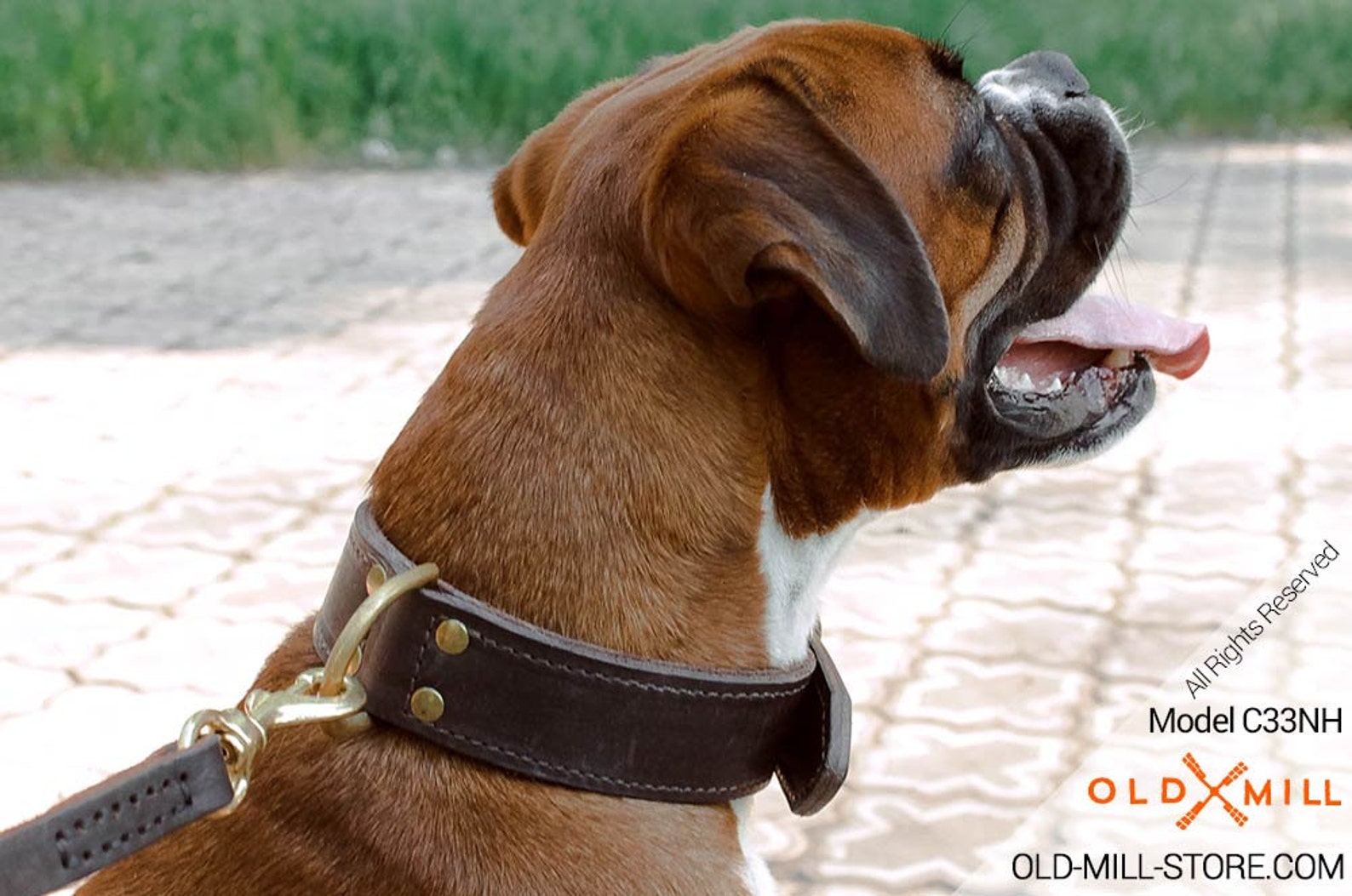 2 Ply Leather Dog Collar for Boxer Training. Wide 1 3/4 Inch Etsy